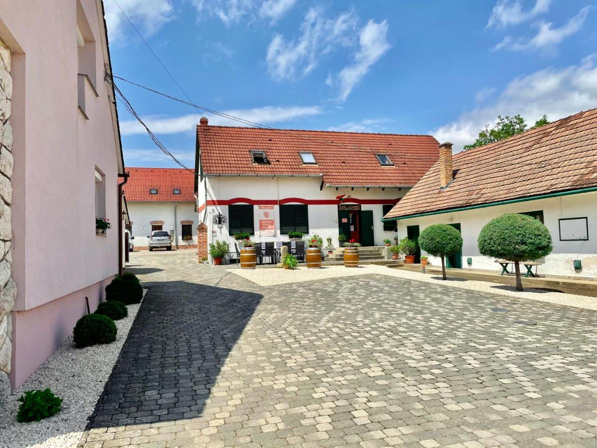 Mayer Pince Panzio Villany Bagian luar foto