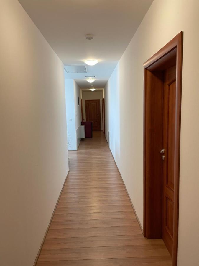 Mayer Pince Panzio Villany Bagian luar foto
